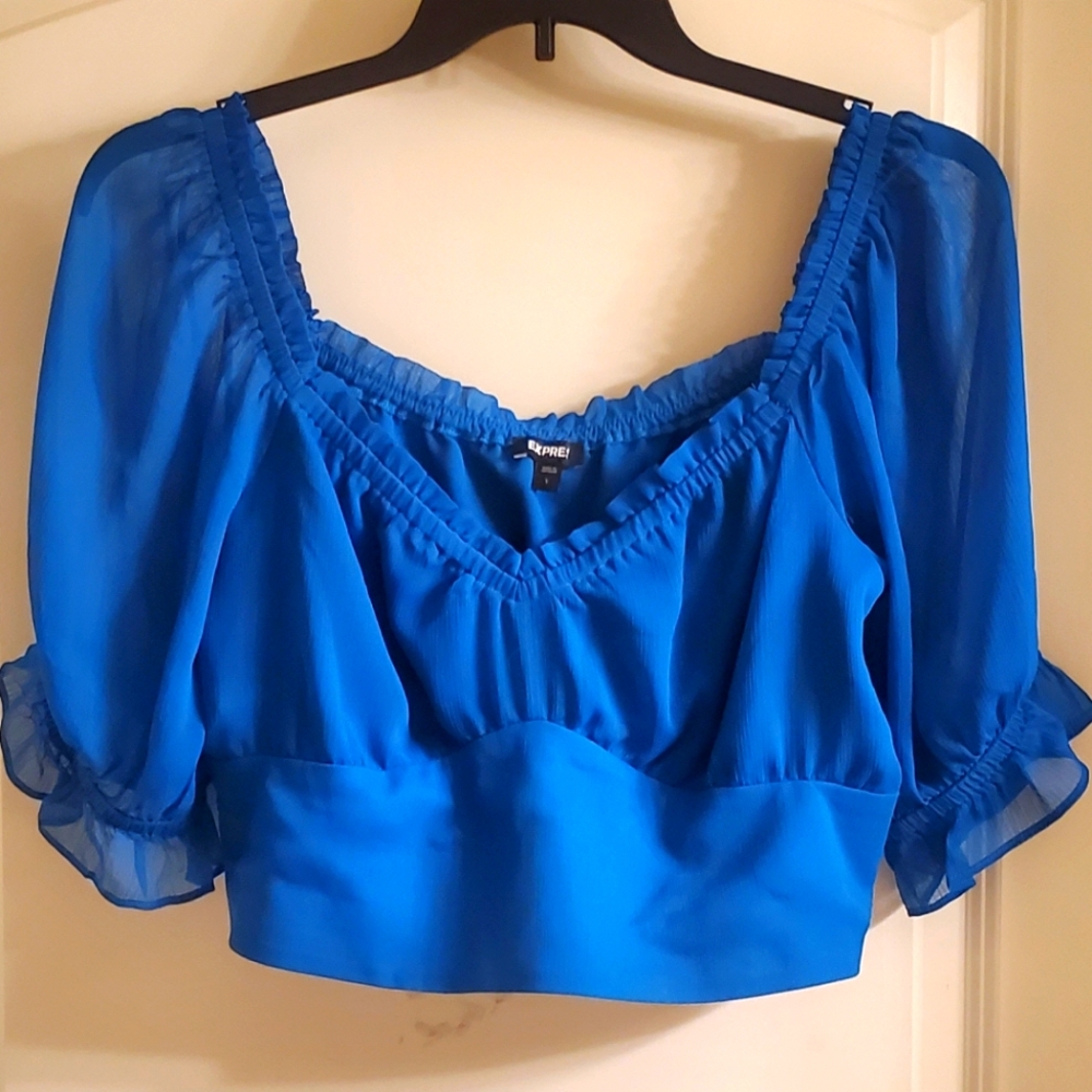 Express Blue Puff Sleeve Ruffled Blouse